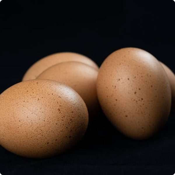 Egg