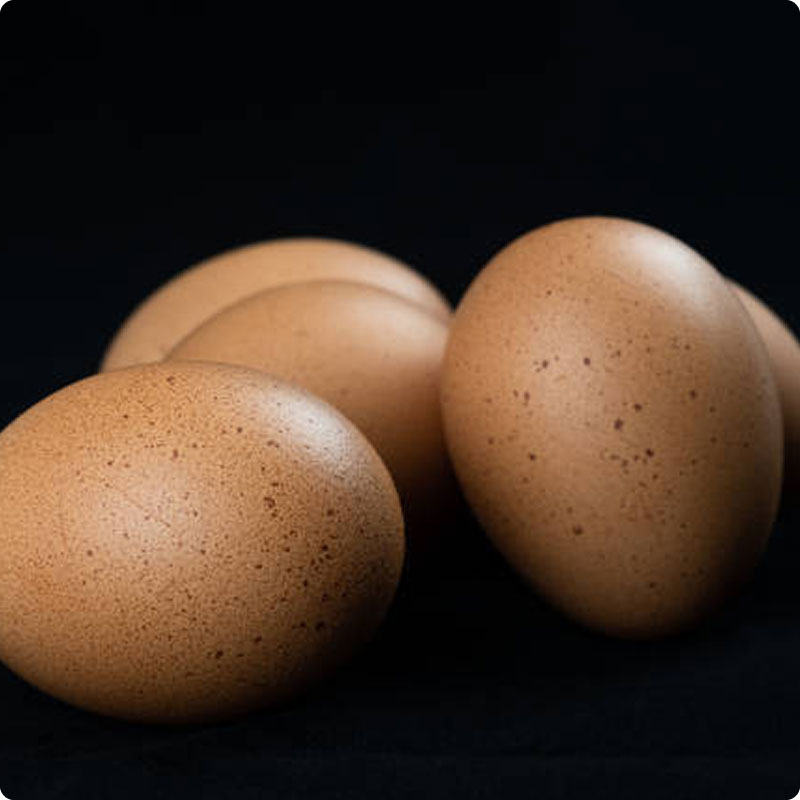 Egg
